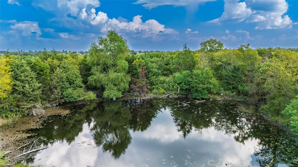 William Young Surv Abs #1181 - Residential