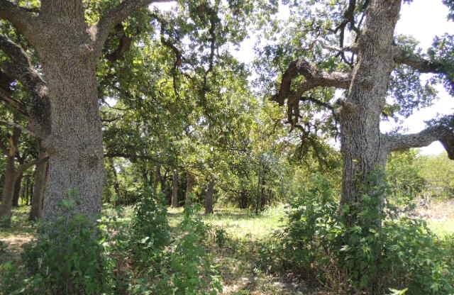 Orig Town Of Greenville - Land