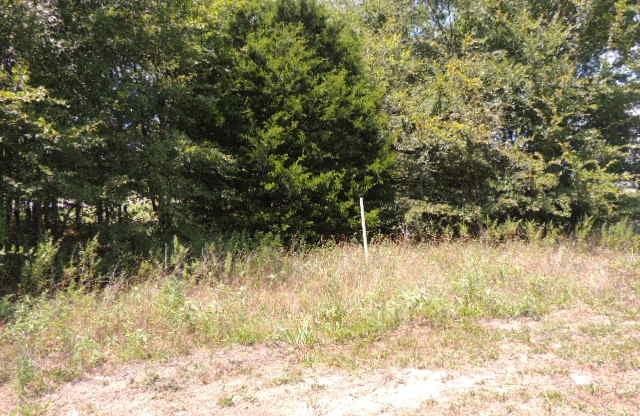 Orig Town Of Greenville - Land