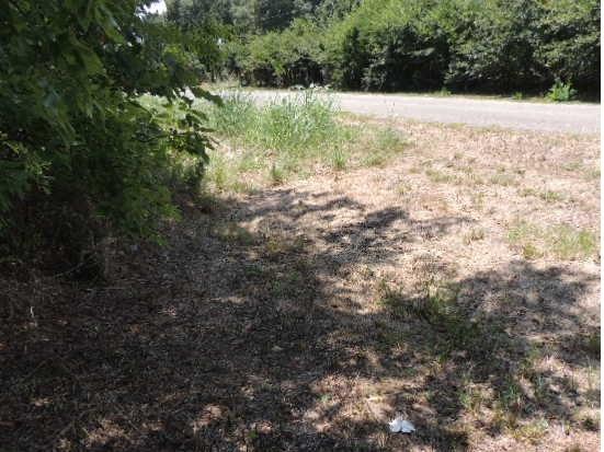 Orig Town Of Greenville - Land