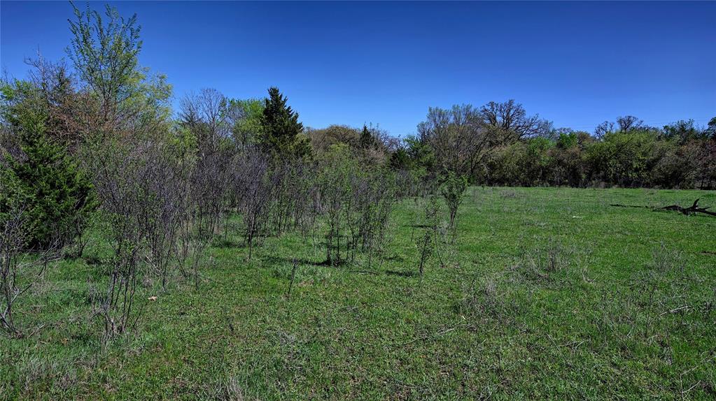 Hill CSL Survey - Land