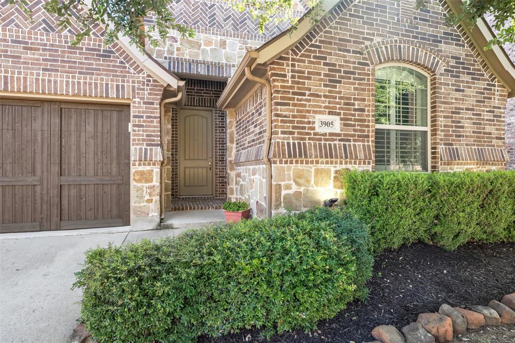 3905 Ocala Lane