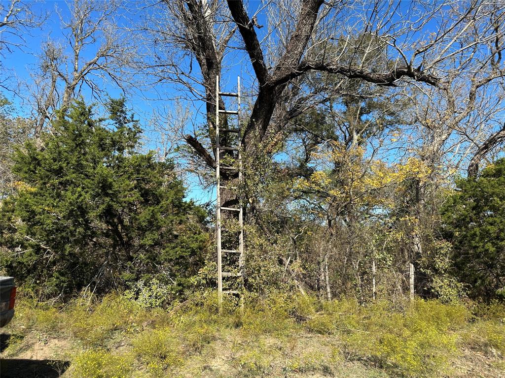 R T Cane - Residential