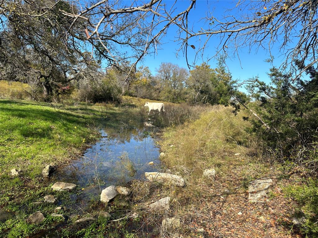 R T Cane - Residential