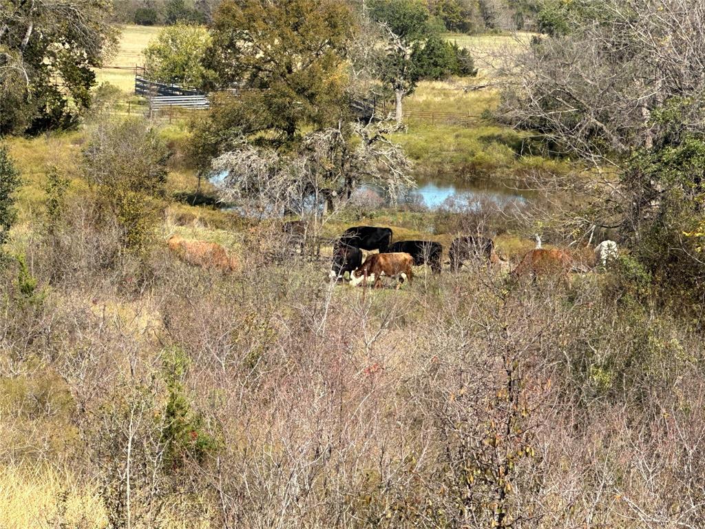 R T Cane - Residential