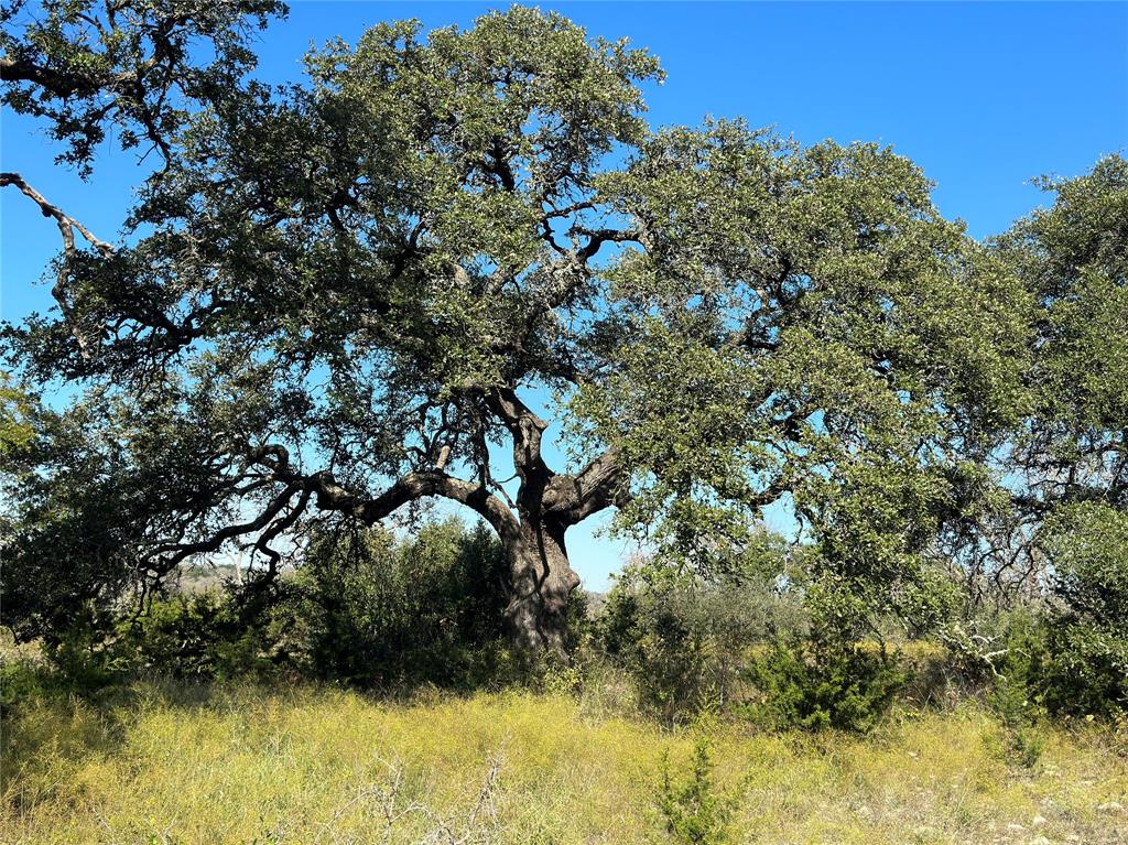 R T Cane - Residential