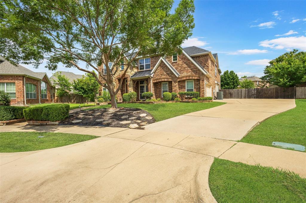 205 Trevino Court
