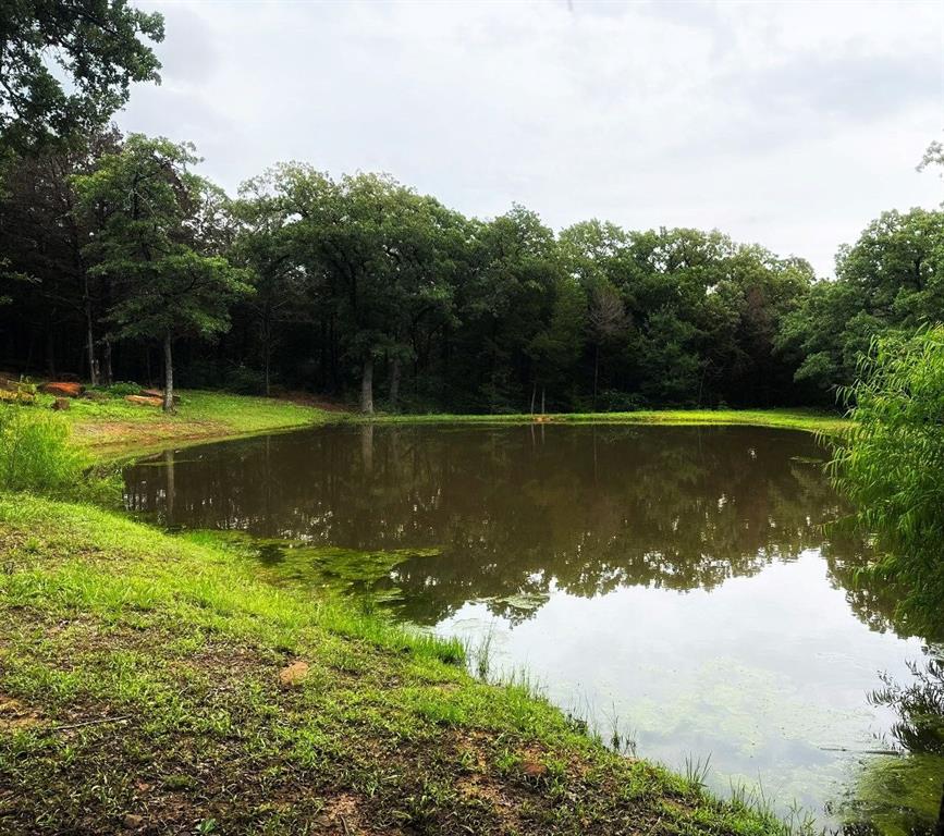 C Bell Survey - Residential