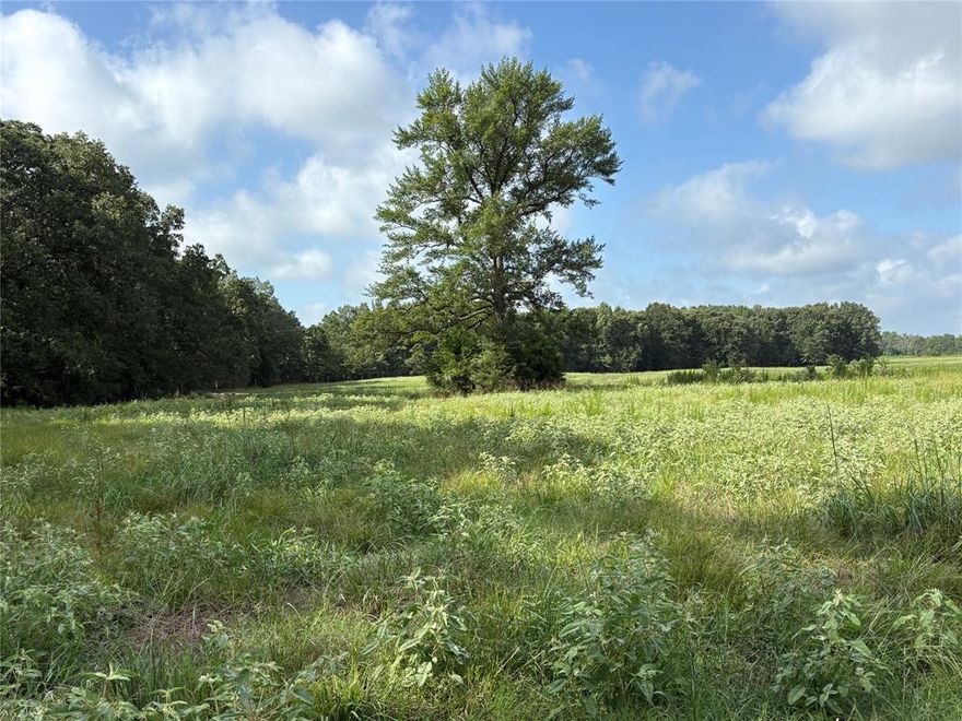 Located on a peaceful Franklin County road is this ag exempt 20.05 acre tract that provides all you need. Currently used as hay production with the improved grasses and sandy type soil, but has tremendous opportunity for that new home, barn-do, shop, barn, garden and some animals to enjoy the country lifestyle of East Texas. There is about 4 acres of hardwood Oak timber located at the back providing some habitat for deer, hogs, squirrel and other wildlife. There is a shallow pond area along the northern boundary that looks could be dug out for a nice size pond to provide surface water. There is electricity at the road and water is serviced by Cypress Springs SUD. No known restrictions on this tract allow many opportunities for the new buyer.