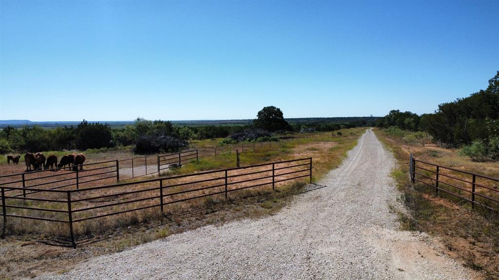 449 County Road 194
