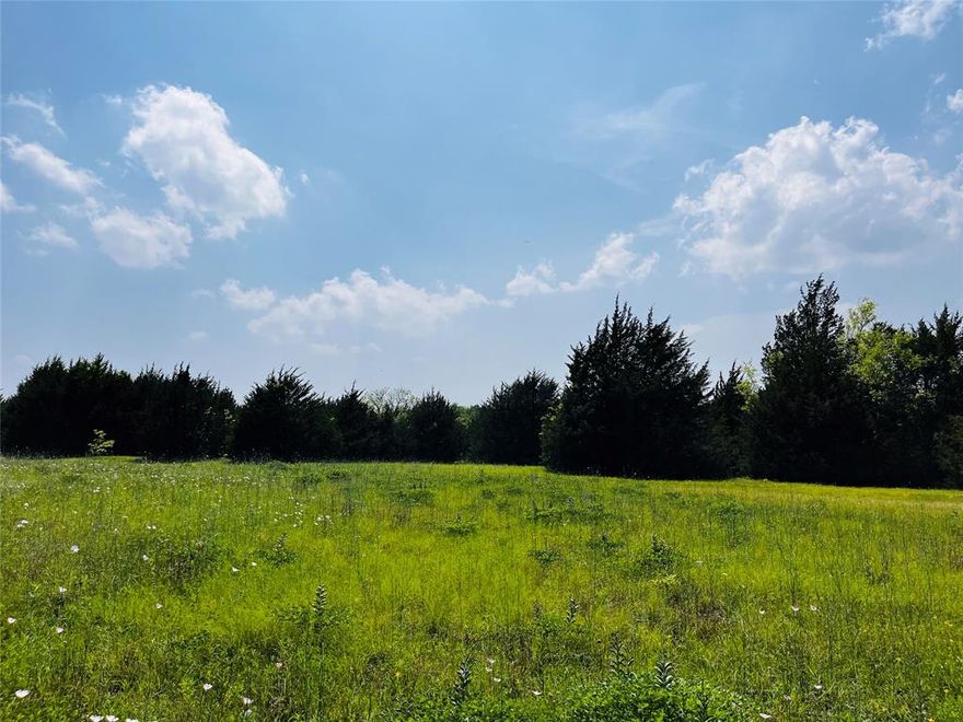AFTER 4.8 ACs RECENTLY SOLD, REMINING 10.015 ACs ARE AVAILABLE FOR SALE AS WHOLE OR DIVIDED. THE OPPOTUNITY IS HARD TO MISS!!!
Open flat land nestled w tall trees surrounded by beautiful ranches & farms w luxury homes. Easy access paved road. Wonderful opportunity for builders to build dream homes!!! Perfect balance of natural environment, outdoors & convenient location. Less than a mile distance to Lavon Lake. Heritage Ranch & Golf Country Club and Fairview Soccer Club are within walking distance. Fantastic location in high-ranked McKinney school district next to Lucas Luxury Communities. While enjoying quiet country life, easy access to major highways & nice shopping mall & shopping centers. About 7-8 miles to reach Hwy 75, 121, 380, 5 or Allen Premium Outlets, Watters Creek Village, Fairview Town Center. 10 min to Medical City or McKinney National Airport. 42 miles to downtown Dallas. NO HOA. City water, electricity on site, sewer system is nearby. Low Tax Rate.