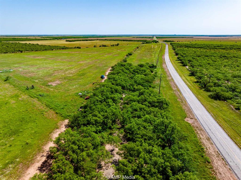 FM 2142 FM 2142