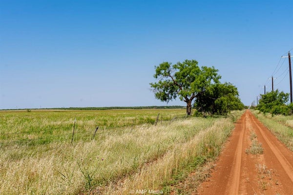 FM 2142 FM 2142, ROTAN, TX 79546 - Image 81f4342cbf28e73f63dae9f7fbbcddc1/2867929416