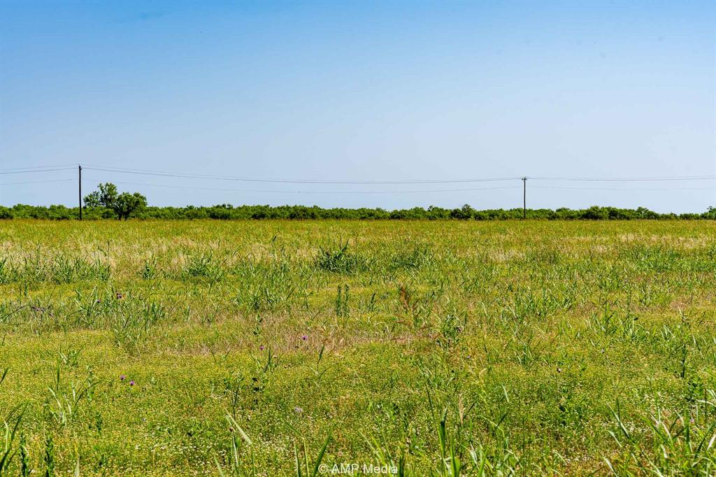 FM 2142 FM 2142