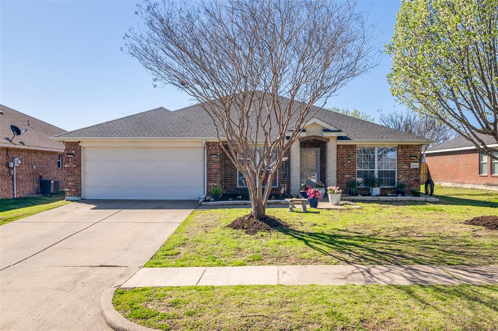 2625 Mockingbird Street