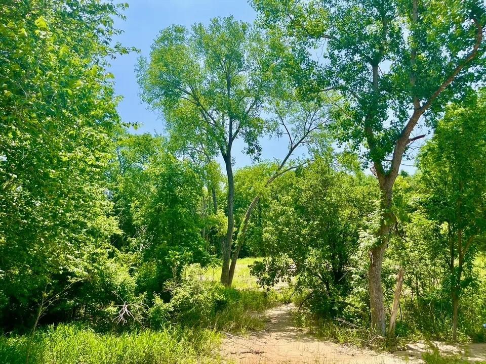 Lot 46 Antrim Court