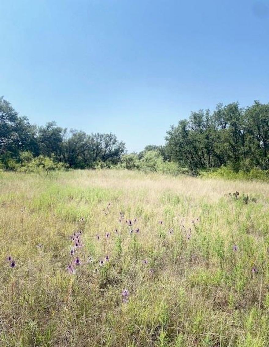 Discover the perfect spot for your future retreat near Lake Brownwood! This 0.11-acre unimproved lot at 6599 Ennis Dr. is nestled in the quiet Shamrock Shores neighborhood, offering a peaceful setting with natural beauty and mature trees. Whether you're looking for a weekend getaway, a future homesite, or an investment opportunity, this property offers plenty of potential in a growing lake area community.

The lot is wooded, providing privacy and a serene atmosphere, while still being just a short drive from Brownwood for shopping, dining, and essential services. Located just minutes from public access points to Lake Brownwood, you’ll enjoy easy access to boating, fishing, and outdoor recreation. This is an ideal location for nature lovers or those seeking a slower pace of life away from the city.

There are no known deed restrictions, giving you the freedom to build a tiny home, bring in a manufactured home, or create your own RV pad—buyer to verify with the county. Electricity is available nearby, and water service may be possible through Brooksmith SUD—buyer to confirm availability and connection costs. Septic would be required for permanent residence.

Affordable and full of potential, 6599 Ennis Dr. gives you the opportunity to own a piece of land near one of Central Texas’ favorite recreational lakes. Whether you're buying your first land parcel, expanding your investment portfolio, or planning for a quiet spot near the water, this could be the one.

Take a drive out and imagine the possibilities!