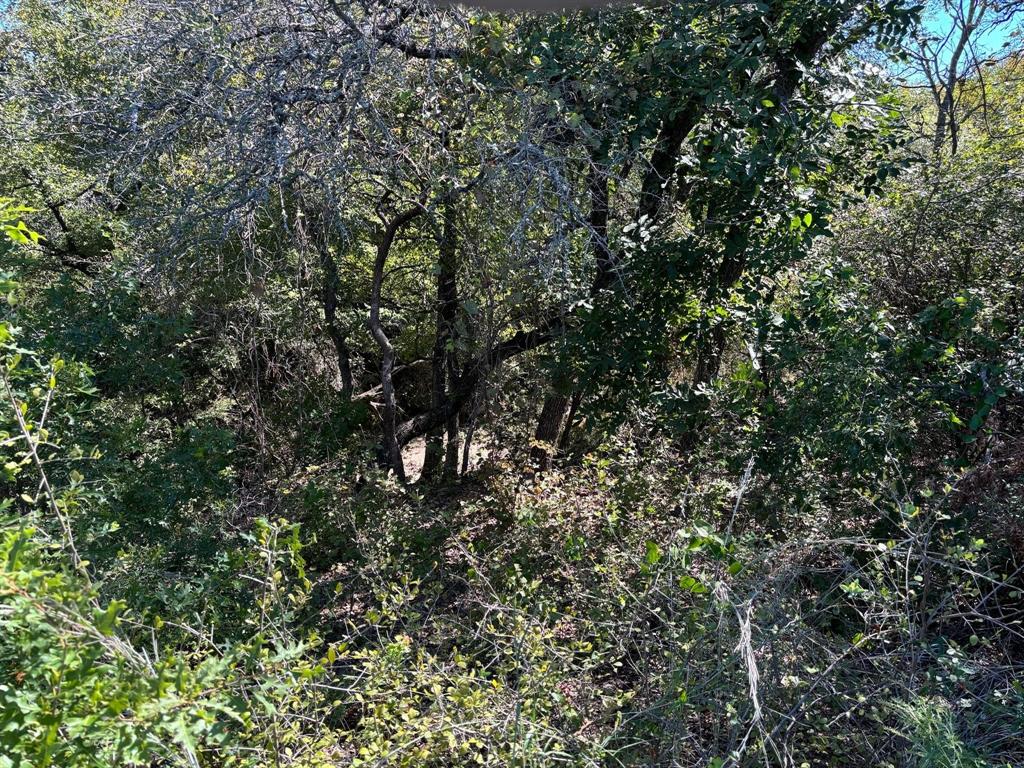 Ranches at Deer Crossing - Land