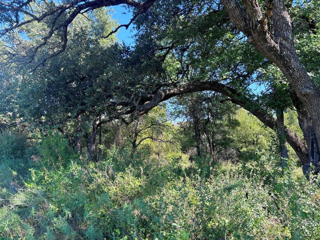 Ranches at Deer Crossing - Land