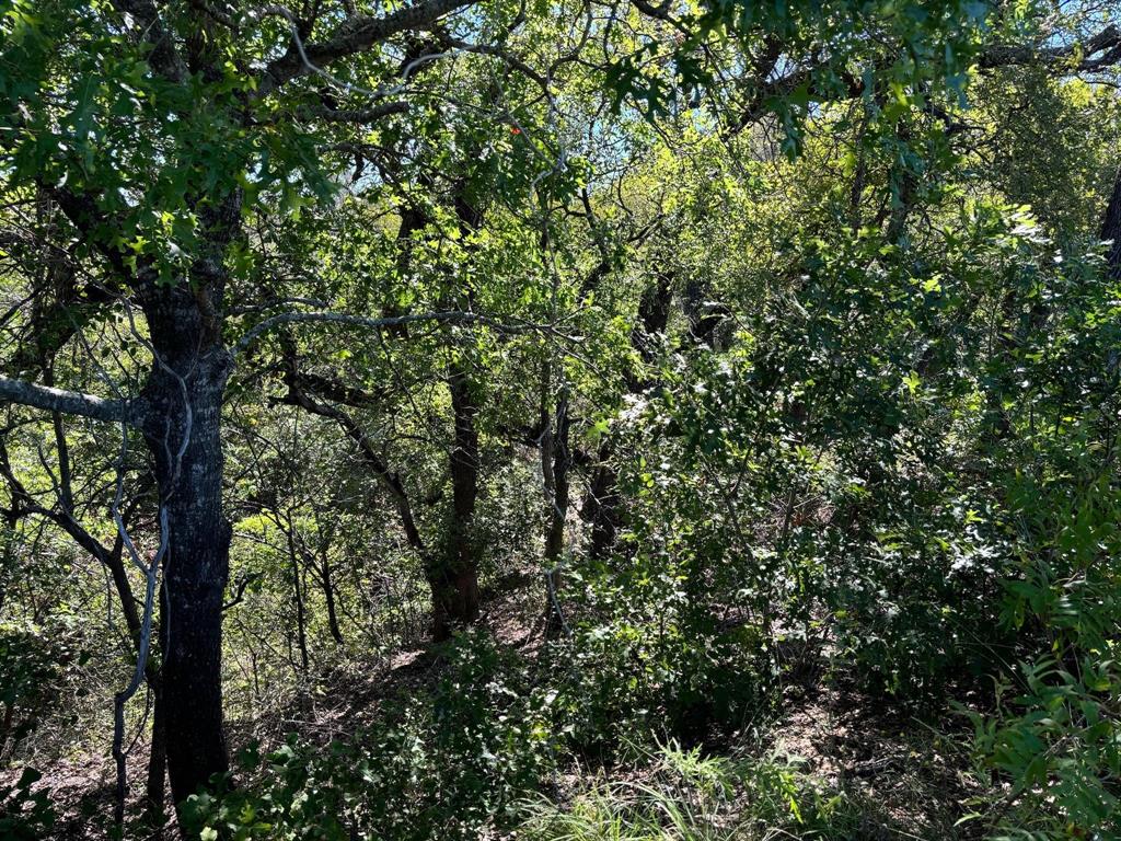 Ranches at Deer Crossing - Land