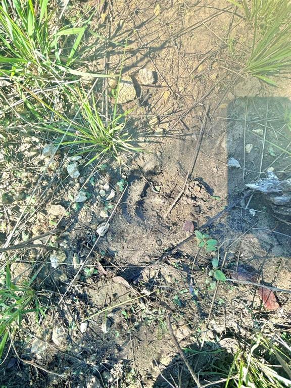 Ranches at Deer Crossing - Land