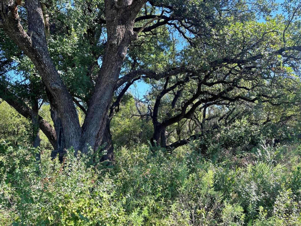 Ranches at Deer Crossing - Land