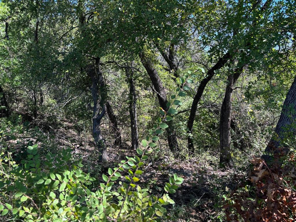 Ranches at Deer Crossing - Land