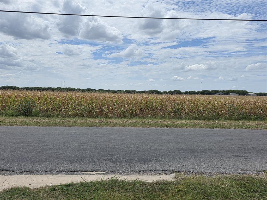 Ramon Rubio Surv Ab #997 - Farm