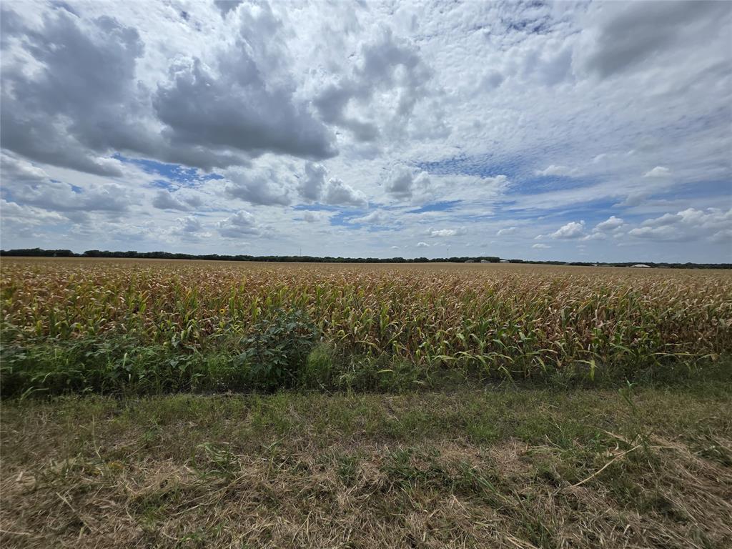 Ramon Rubio Surv Ab #997 - Farm