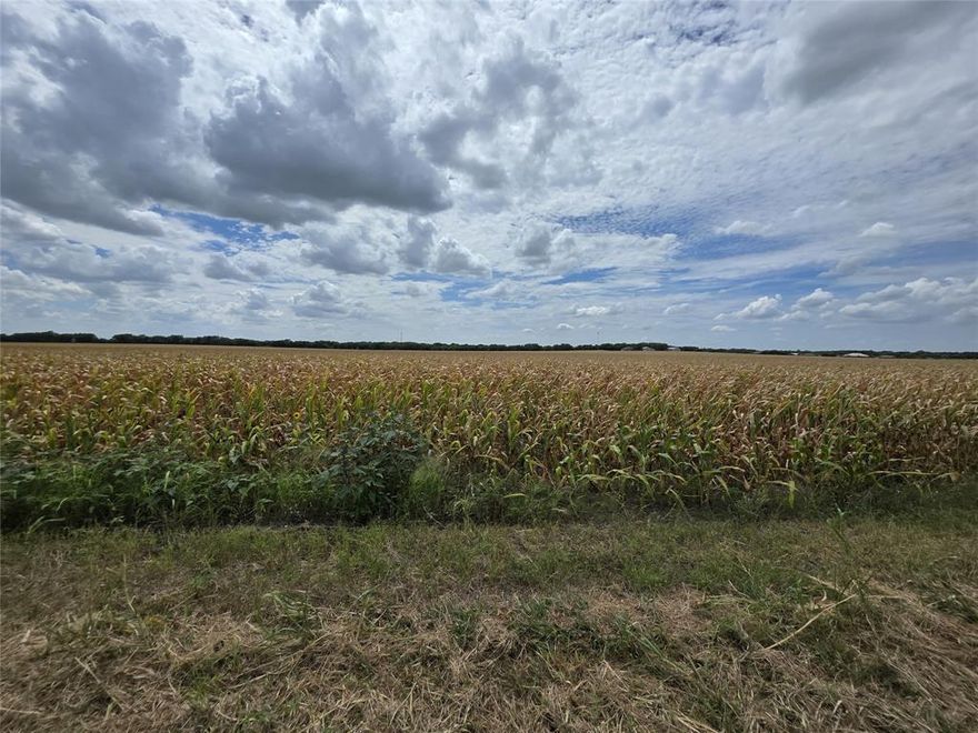 Prime Acreage Opportunity Across from Chapel Creek Farms!
Discover the perfect blend of flexibility and location with this beautiful acreage parcel situated directly across from the sought-after Chapel Creek Farms residential development. Currently unzoned and located outside city limits, this property offers multiple potential uses—ideal for residential, commercial, or mixed-use development (buyer to verify). Enjoy the peace of the countryside with the convenience of being just minutes from local schools, shopping, and major thoroughfares. Whether you're looking to build your dream home, create a small business, or invest in future growth, this land offers endless possibilities in a fast-growing area.