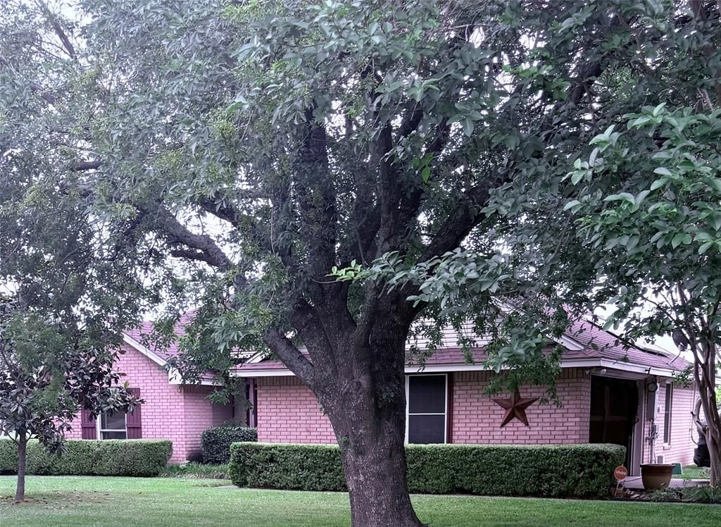 Photo of 202 Castleridge Drive, Red Oak, TX 75154 (MLS # 21248803)