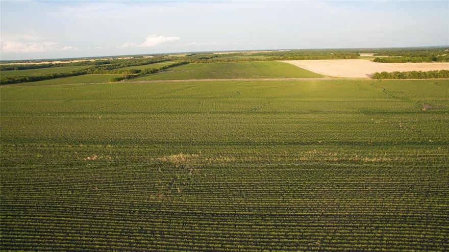 Ideally located at just over an hour from the DFW metroplex this 7,064 acre farm offering. Centrally located just north of Cooper and within twenty miles of Sulphur Springs, Paris, Commerce and Greenville, Tx. The various parcels are located within a six mile radius and maximize investment potential through an unusually high ratio of road frontage to acreage. Over 8.5 miles of paved State Highway and Farm to Market frontage along with 13 miles of County Road frontage. Delta County is well known for productive fertile soils and sufficient annual rainfalls along with favorable conditions.  The largest already established water feature of the property is just over 30 acres at full capacity. Current lease terms provide an attractive return on investment while removing management burdens. The local tenant farmer has expressed interest in a continued lease agreement extending past the in place lease.