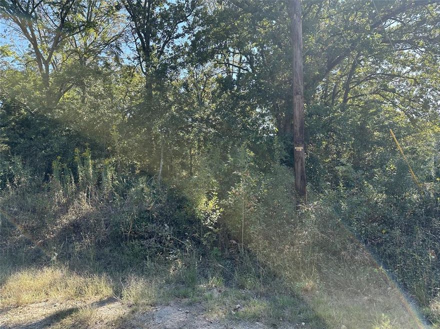 Great oppurtunity to build your dream home and walking distance to the lake. This lot offers tons of oppurtunity to have a getaway near Cedar Creek lake. The only restriction is your home must be less than 10 years old. Enjoy all the ammenties of lake living including access to the neighborhood pool,park, and boat friendly lake access. This wont last long at this price!