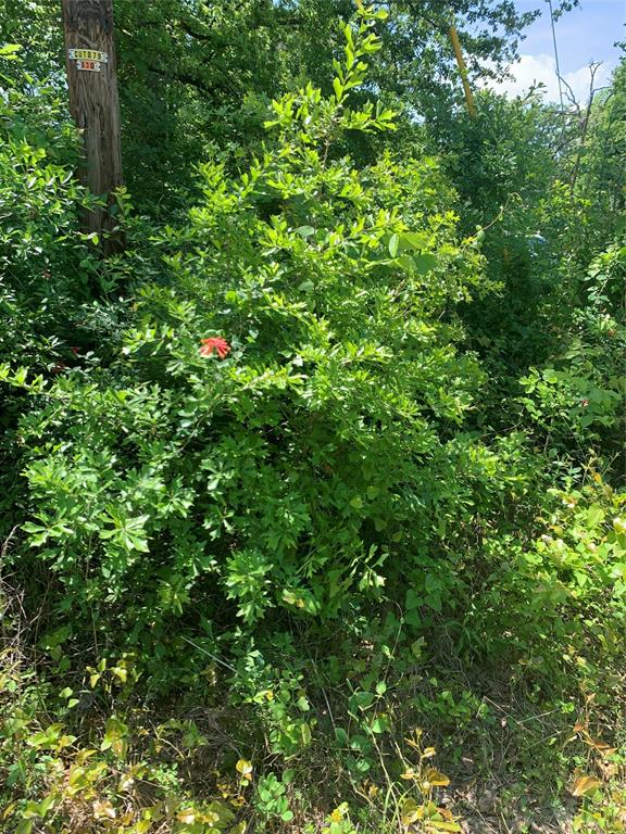 Cherokee Shores - Land
