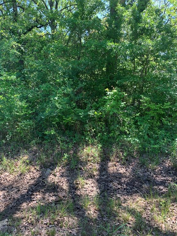 Cherokee Shores - Land