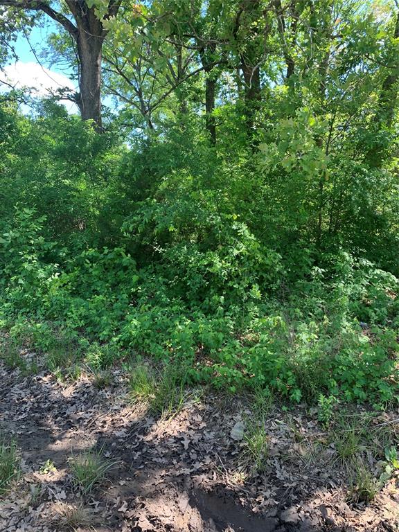 Cherokee Shores - Land