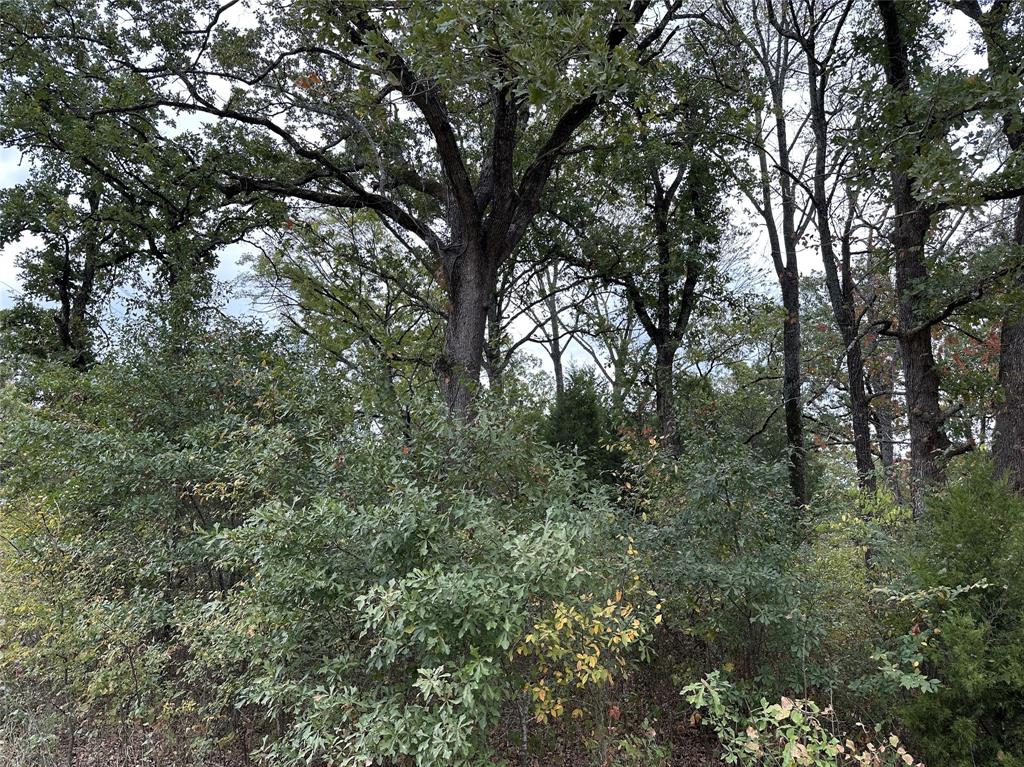 Cherokee Shores - Land