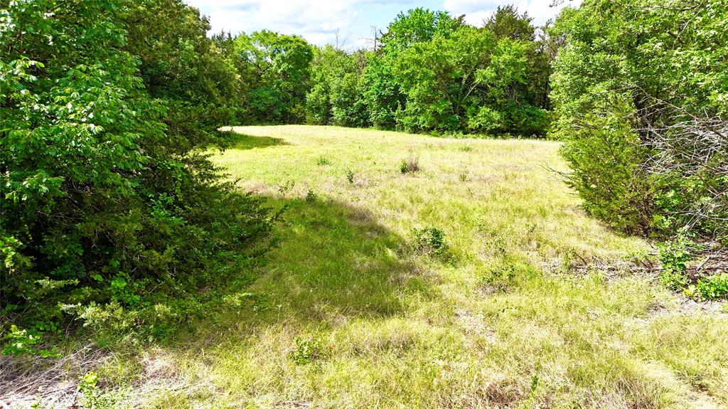 TBD County Road 106