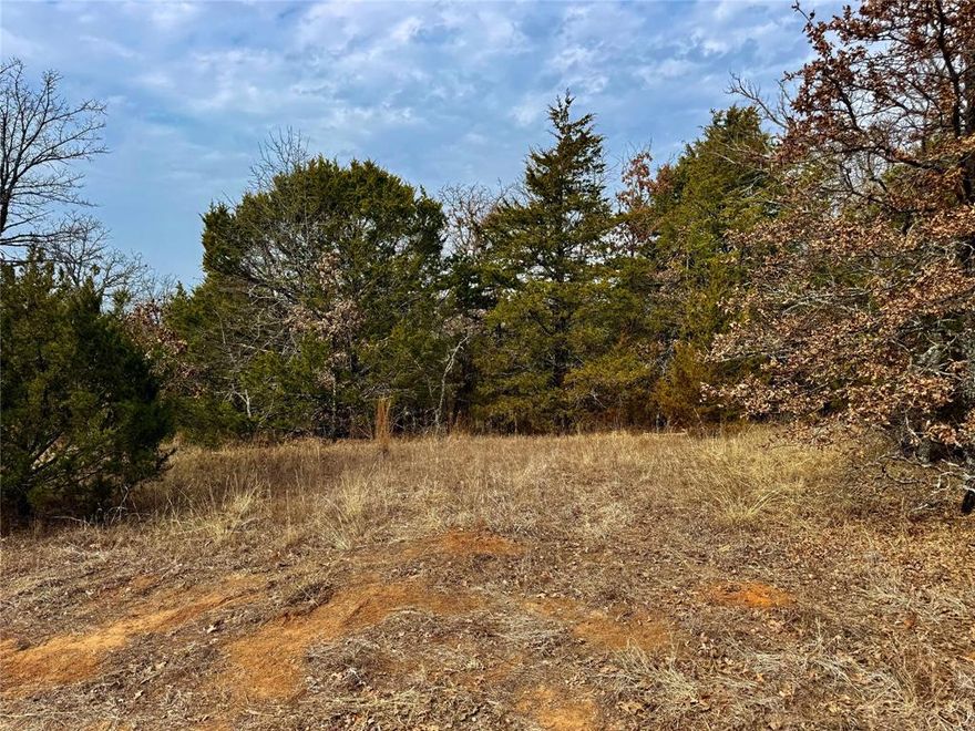 Escape to 88 beautiful acres in Whitesboro, Texas! This large Cooke County property is the perfect spot for your dream country home. With rolling hills reaching up to 760 feet, you get amazing views and fresh air.  The land is a great mix of open grass and thick trees. It is ready for your horses, cattle. If you love the outdoors, you can enjoy hunting and exploring your own private woods. Whether you want a quiet place to relax or a working ranch, this land has it all. Come see the beauty of North Texas today!  Well and septic would be needed.  Adjacent 88 acres may also be purchased.