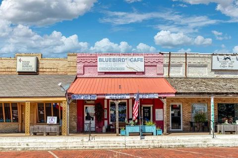 124 W North Commerce Street Wills Point TX 75169