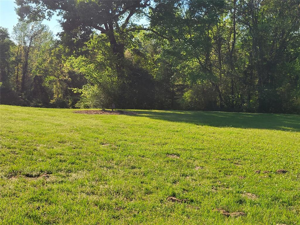 1668 County Road 3802