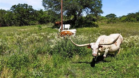 156 PR 3626 Springtown TX 76082