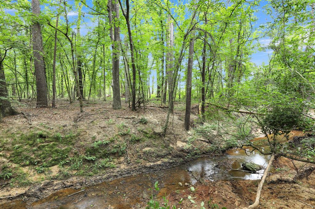 Polonio Cherino Surv Abs 191 U - Land