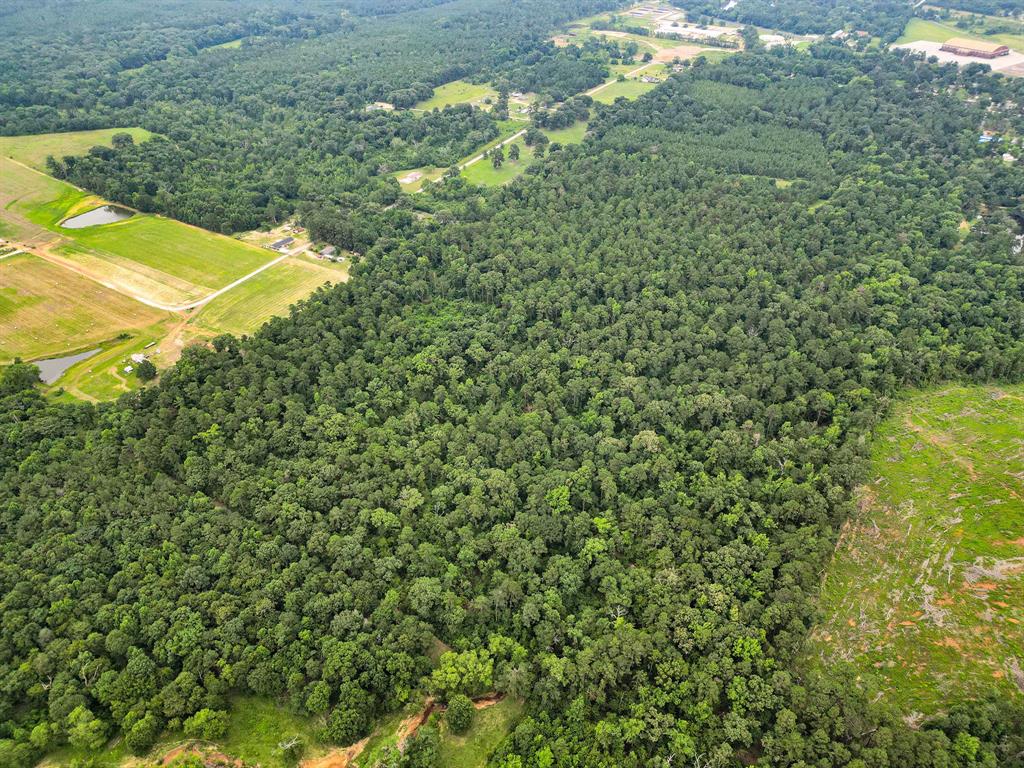 Polonio Cherino Surv Abs 191 U - Land