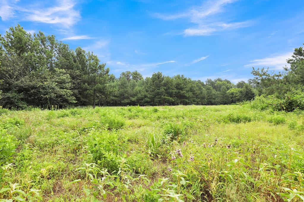 Polonio Cherino Surv Abs 191 U - Land