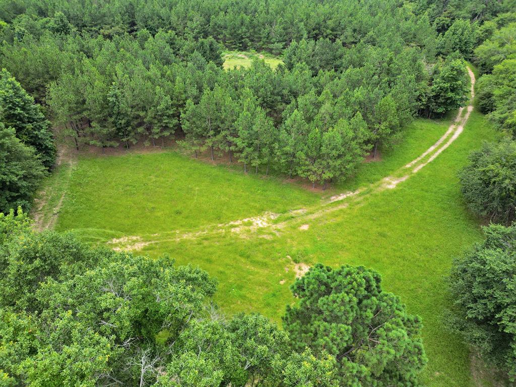 Polonio Cherino Surv Abs 191 U - Land