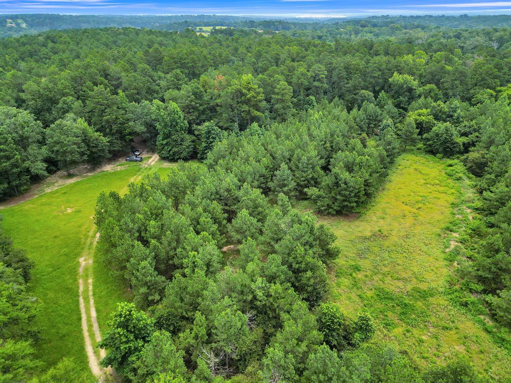 Polonio Cherino Surv Abs 191 U - Land