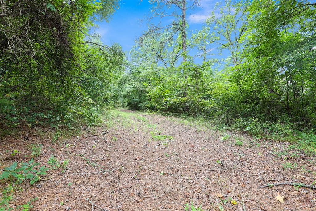 Polonio Cherino Surv Abs 191 U - Land