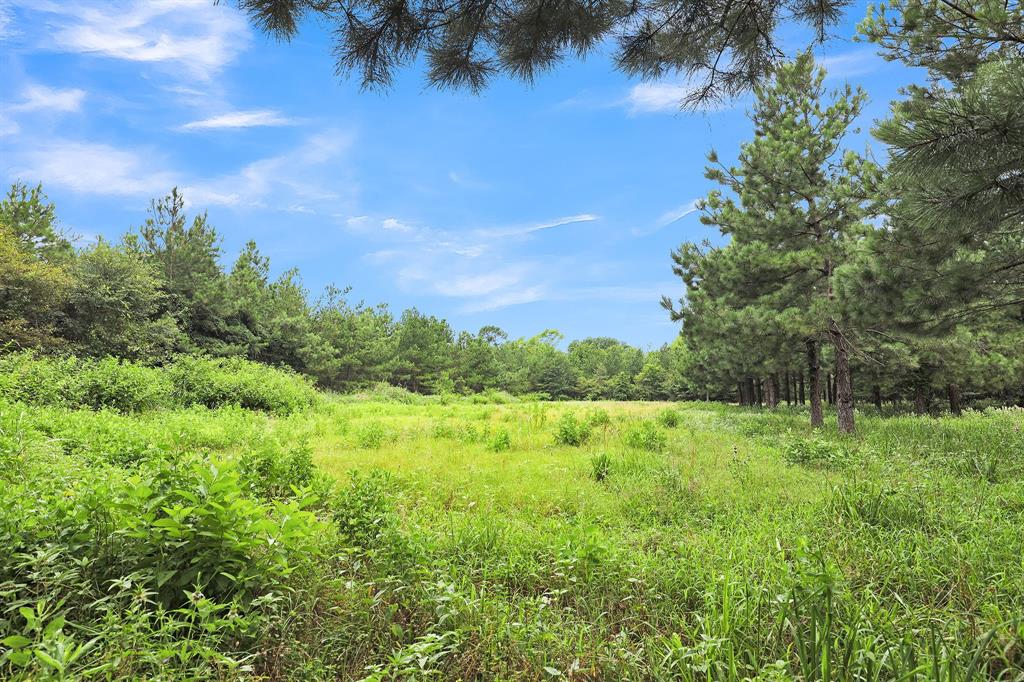 Polonio Cherino Surv Abs 191 U - Land