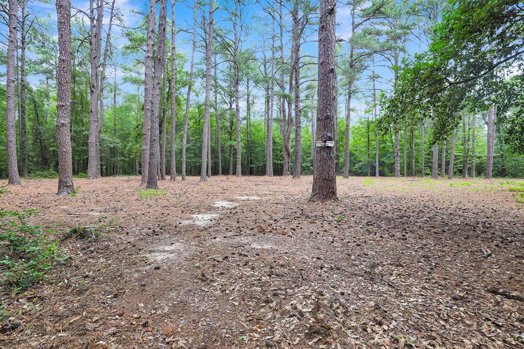 Polonio Cherino Surv Abs 191 U - Land